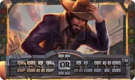 Mystake Casino offre il gioco online Dead or Alive II