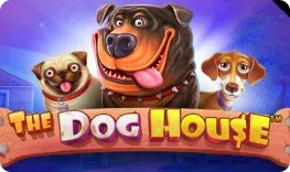 Mystake Casino offre il gioco online The Dog House